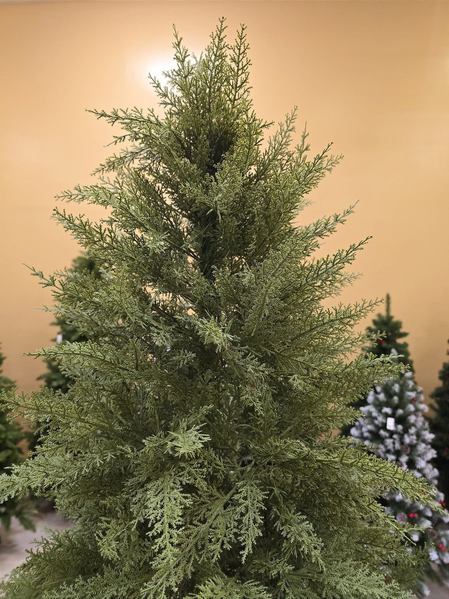 ÁRVORE PINHEIRO SUPER REALISTA NEW JERSEY 1240 GALHOS 2,10CM - PRÉ VENDA 2025